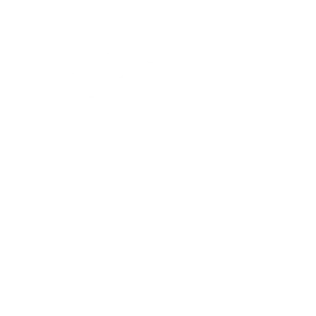 QoreDB Logo